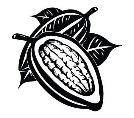 This black and white illustration features a cacao pod surrounded by leaves, perfect for themes related to nature, food, and agriculture. Ideal for creative projects.のイラスト素材