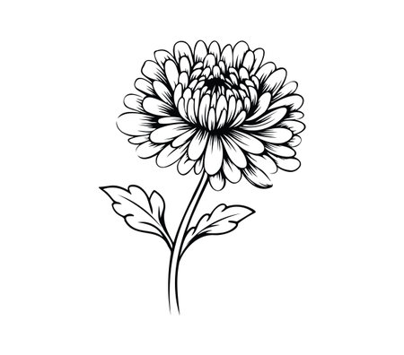 Intricate black and white illustration of a flower with lush petals and a slender stem, perfect for design, decor, or creative projects featuring floral themes.のイラスト素材
