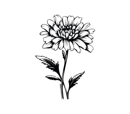 A striking black and white illustration of a flower with intricate petals and a detailed stem, perfect for nature lovers and art enthusiasts.のイラスト素材