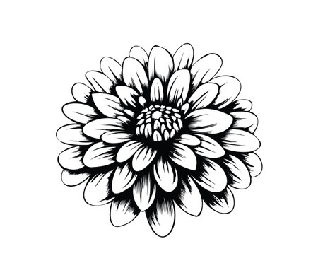 A detailed black and white illustration of a flower showcasing intricate petals and a captivating center, ideal for artistic and decorative use.のイラスト素材