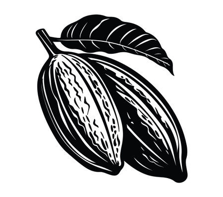 Detailed black and white illustration of cacao pods with a leaf, showcasing the beauty of tropical fruits. Ideal for food and nature-themed projects.のイラスト素材