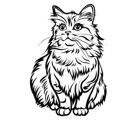 A striking line art illustration of a majestic domestic cat, showcasing its fluffy fur and expressive eyes. Perfect for pet enthusiasts and art lovers.のイラスト素材