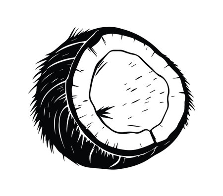 This hand-drawn illustration features a detailed coconut shell showcasing its unique texture and rustic charm, perfect for tropical and culinary themes.のイラスト素材