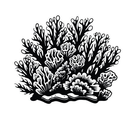 This intricate black and white coral reef illustration captures the beauty and complexity of marine life, perfect for art enthusiasts and eco-awareness.のイラスト素材