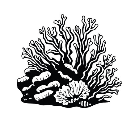 Explore an artistic coral reef illustration featuring intricate branches and marine elements in black and white. Perfect for nature-themed projects and designs.のイラスト素材