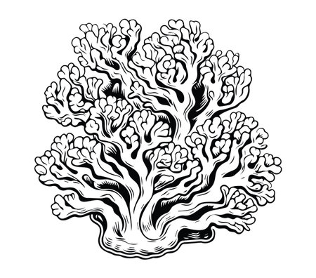 This detailed black and white illustration of coral reef offers a stunning decorative artwork. Perfect for marine themes, it showcases the intricate beauty of underwater life.のイラスト素材