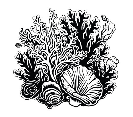 This detailed black and white illustration showcases vibrant coral formations and seashells, perfect for marine-themed projects, art, or decor.のイラスト素材