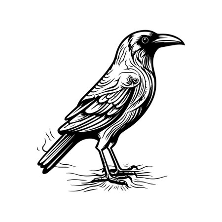 This intricate black and white illustration features a detailed standing bird design, with emphasis on the textures and elegant lines capturing its beauty.のイラスト素材