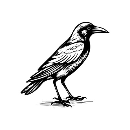 This intricate black bird illustration showcases detailed line work and features, ideal for nature themes, graphic design, and artistic projects.のイラスト素材
