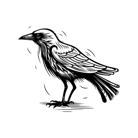 This striking black and white illustration features a crow in profile, showcasing intricate feather details. Ideal for wildlife enthusiasts and artists.のイラスト素材
