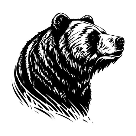 This striking black and white illustration features the detailed head of a bear, showcasing its majestic features and expressive gaze.のイラスト素材