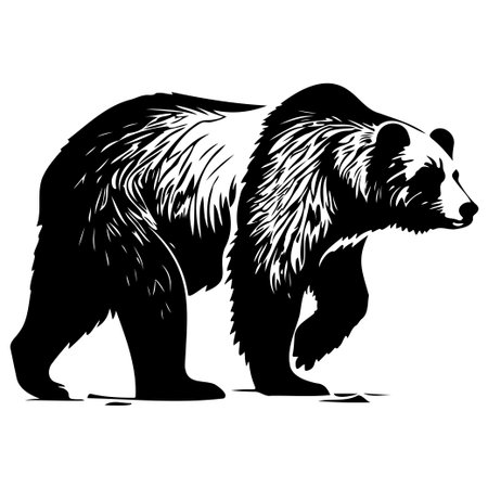 A stunning black and white illustration of a walking bear, showcasing its powerful form and intricate fur details. Perfect for wildlife-themed projects.のイラスト素材