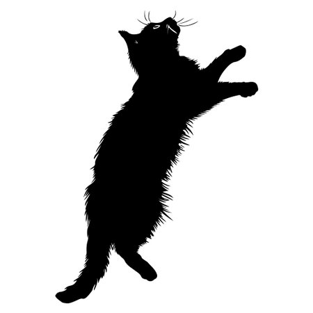 This artistic silhouette captures a playful cat in a dynamic pose, emphasizing fur and whiskers. Perfect for design enthusiasts and pet lovers alike.のイラスト素材