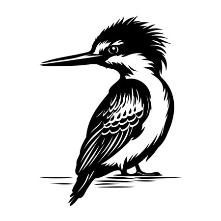 This elegant black and white illustration features a kingfisher bird perched gracefully, showcasing intricate feather details and a serene expression.のイラスト素材