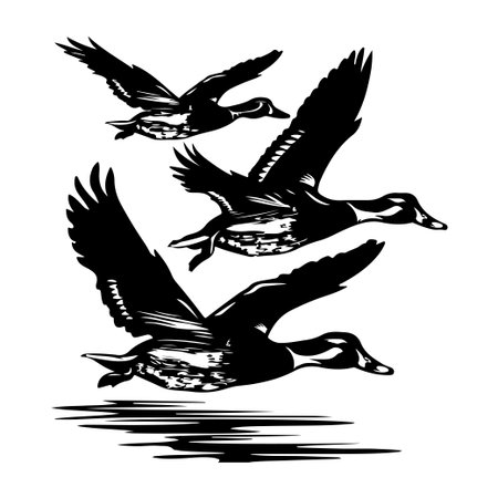 This artistic depiction features three ducks flying over water, showcasing their graceful movement and the beauty of nature in a striking black and white silhouette style.のイラスト素材