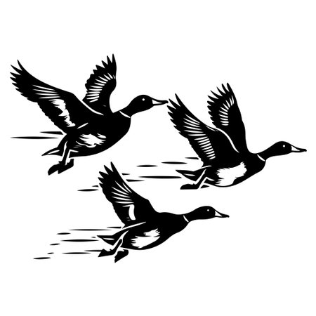 Silhouette of three birds flying gracefully, showcasing their wingspan in a dynamic motion. Perfect for nature-themed projects or wildlife art.のイラスト素材