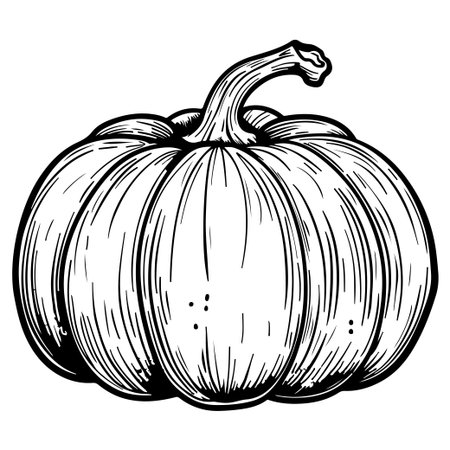 A hand-drawn vintage pumpkin illustration in black and white, perfect for Halloween or autumn-themed projects. Ideal for crafts and seasonal decorations.のイラスト素材