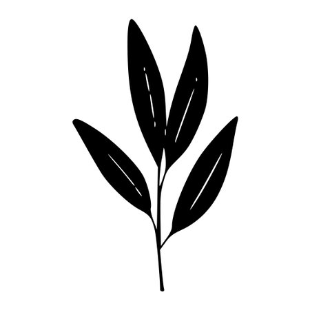 This elegant black silhouette showcases a single branch with slender leaves, perfect for various design projects and nature-inspired artwork.のイラスト素材