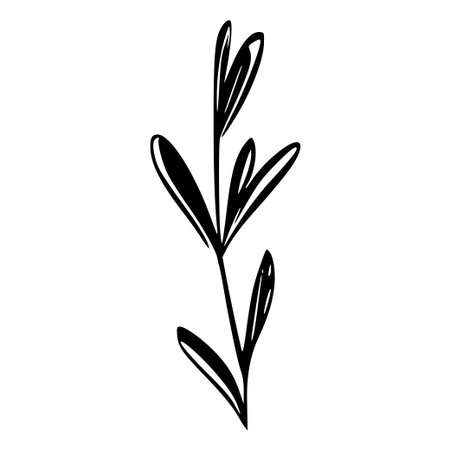 This minimalist illustration showcases a delicate leafy stem, perfect for creative designs and backgrounds, evoking a sense of nature and tranquility.のイラスト素材