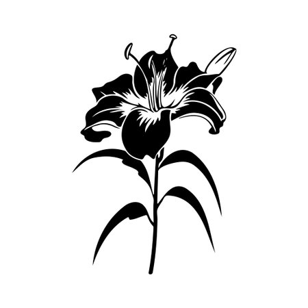 This elegant black and white illustration features a lily flower with intricate petals and curved leaves, ideal for floral design projects and nature-inspired art.のイラスト素材