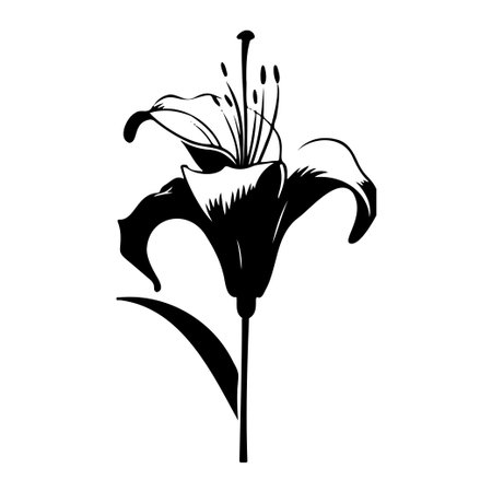 This elegant black and white lily illustration captures the essence of floral beauty in a minimalist style, ideal for art prints, home decor, and creative projects.のイラスト素材