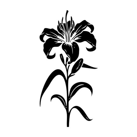 A graceful black silhouette of a lily flower, featuring intricate details of petals and leaves. Perfect for nature-themed projects and floral art designs.のイラスト素材