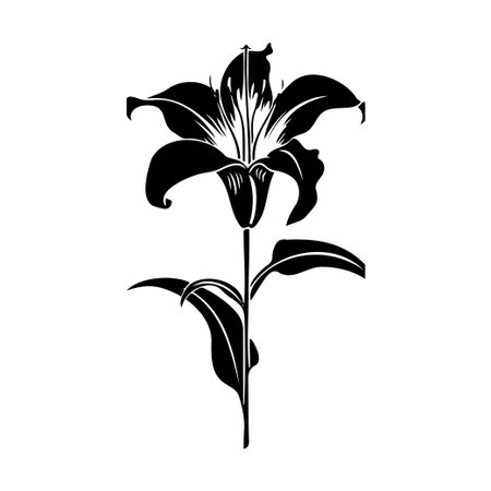 Stunning black and white illustration of a lily flower, showcasing its graceful petals and stem. Perfect for nature-themed projects, art, and decor.のイラスト素材