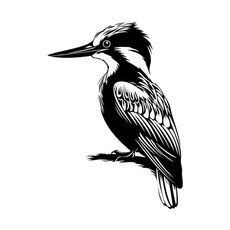 This illustration captures a kingfisher bird in black and white, showcasing elegant feather details as it perches gracefully on a branch, symbolizing nature's beauty.のイラスト素材