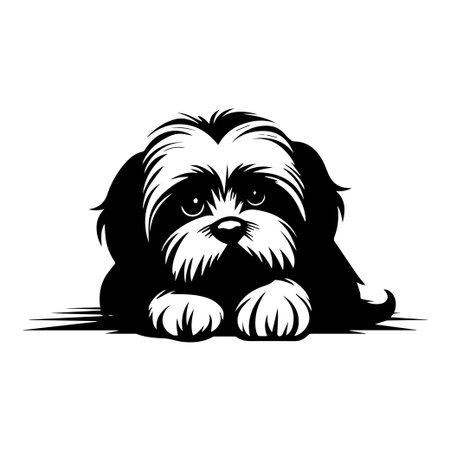 This charming black and white illustration of a Shih Tzu dog captures the essence of cuteness and playfulness. Perfect for pet lovers and dog enthusiasts.のイラスト素材