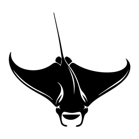 This minimalist illustration features a manta ray, showcasing its graceful form and smooth silhouette. Perfect for ocean-themed designs or educational materials.のイラスト素材