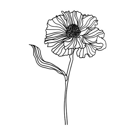 This elegant black and white line art of a flower captures delicate beauty and simplicity. Ideal for various artistic projects, it enhances creativity and aesthetics.のイラスト素材