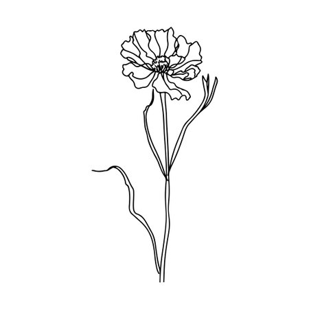 A minimalist line drawing of a delicate flower featuring elegant petals and a slender stem. Perfect for art prints, home decor, and modern design concepts.のイラスト素材