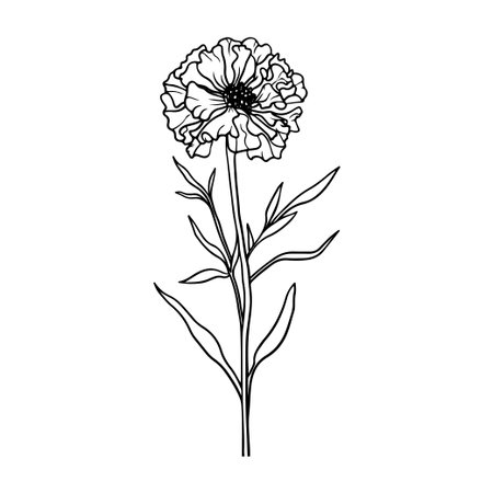 Stunning line art depiction of a flower, showcasing detailed petals and leaves, ideal for use in botanical themes, artistic projects, and decorative purposes.のイラスト素材