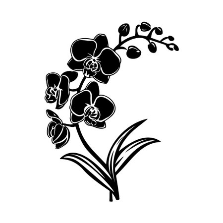 This elegant black and white orchid illustration showcases delicate petals and a graceful stem, ideal for floral decoration and artistic projects.のイラスト素材