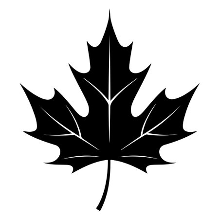 A striking black silhouette of a maple leaf, ideal for nature-themed artwork and autumn-inspired creative endeavors, adding elegance and simplicity.のイラスト素材