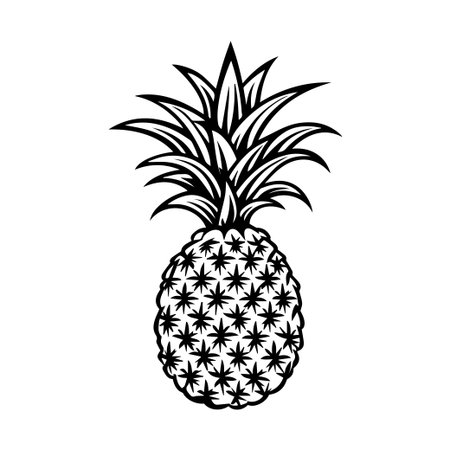 A striking black and white illustration of a pineapple, featuring intricate details of its leaves and texture, perfect for various graphic applications.のイラスト素材