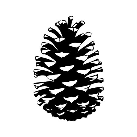 A striking black and white silhouette of a pine cone, showcasing intricate scales and rich texture, perfect for nature-themed designs.のイラスト素材