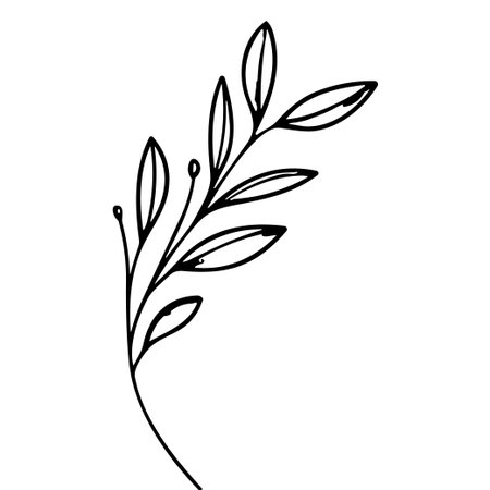 A stunning botanical illustration featuring a single elegantly drawn stem with delicate leaves, perfect for enhancing any design with a touch of nature.のイラスト素材