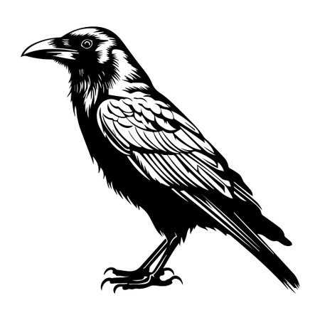 This stunning monochrome illustration showcases a crow, featuring intricate details in its feathers and a captivating profile, perfect for art enthusiasts.のイラスト素材