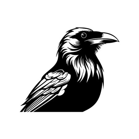 Stunning black and white illustration of a crow, featuring intricate feather details and a striking profile ideal for creative projects.のイラスト素材