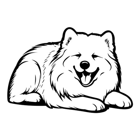 A charming illustration of a happy Samoyed dog resting comfortably. This artwork captures the playful spirit and fluffy fur of this beloved breed.のイラスト素材