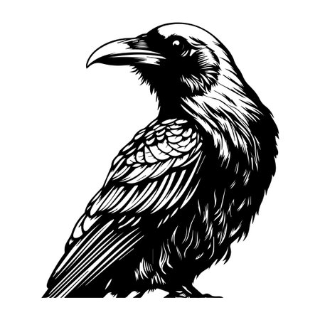 This striking black and white illustration features a crow perched elegantly, highlighting its intricate feathers and strong silhouette, perfect for art lovers.のイラスト素材