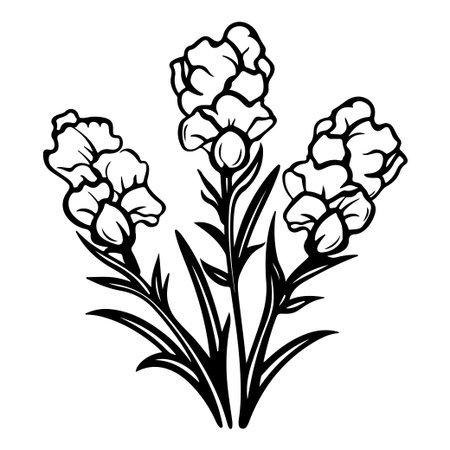 This stunning black and white illustration features snapdragons with intricately detailed petals and foliage, perfect for enhancing any floral-themed project.のイラスト素材