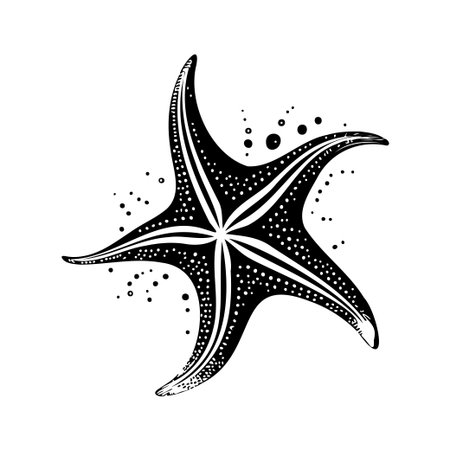 This artistic illustration showcases a unique black and white starfish with intricate patterns, perfect for ocean themes and marine aesthetics.のイラスト素材