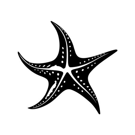 This striking black and white illustration of a starfish features intricate patterns, perfect for ocean-themed projects or nature-inspired artwork.のイラスト素材