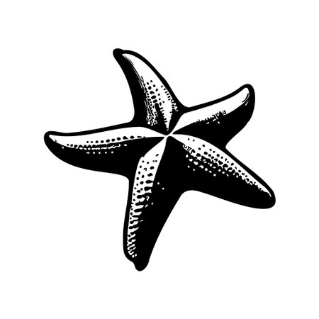 This black and white illustration of a starfish captures the essence of marine life, perfect for ocean-themed projects, decor, and educational materials.のイラスト素材