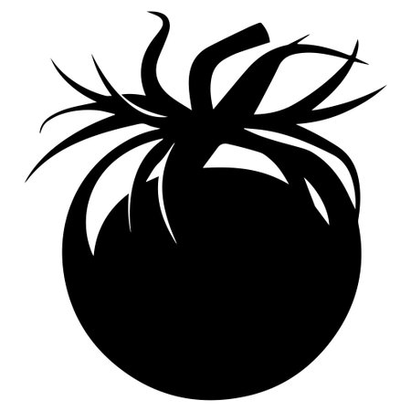 This striking black silhouette of a tomato features an artistic leaf design, perfect for use in creative projects, graphics, and branding.のイラスト素材
