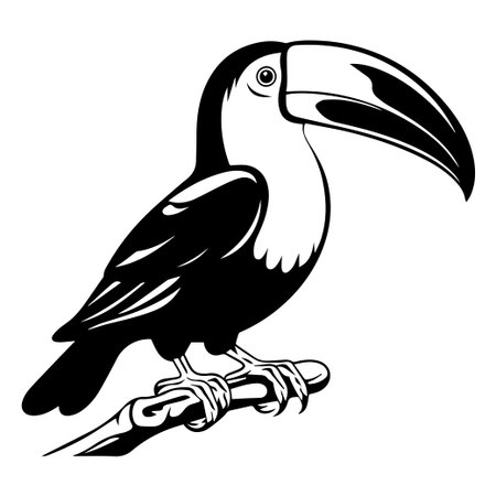 This artistic illustration features a toucan perched gracefully on a branch, highlighting its iconic long beak in a striking black and white design.のイラスト素材