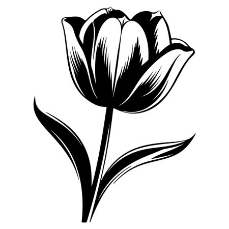 This elegant black and white illustration showcases a tulip flower with intricate details in its petals and leaves, perfect for design projects.のイラスト素材