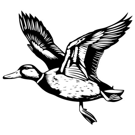 Artistic black and white illustration of a duck in flight, showcasing the beauty and grace of the bird in a stunning visual form.のイラスト素材
